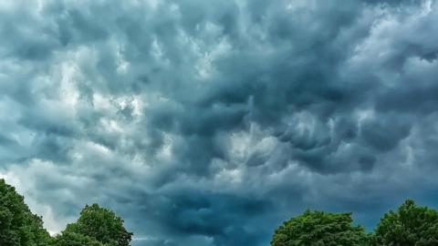 Heavy grey clouds brewing above trees