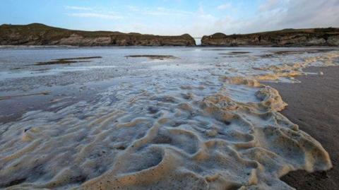 Blooms of naturally occurring algae 