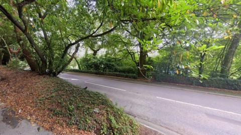 A single laned road going in both directions which runs through a patch of woodland.