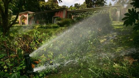 Sprinkler watering lawn