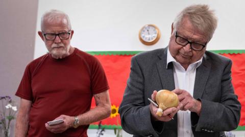 A judge looks at an onion