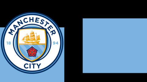 Manchester City badge