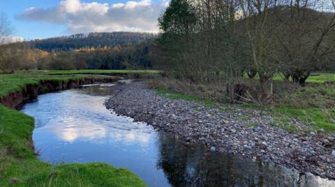 A river with a green bank on the left side and a stoney bank on the right. On the right there are trees and there are also trees in the distance. The sky is bright blue and the clouds reflect in the water.