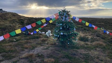 A Christmas tree stands on a remote hilltop with a setting sun behind it. It's decorated with flags on the ropes to anchor it. A golden retriever sits at its base.