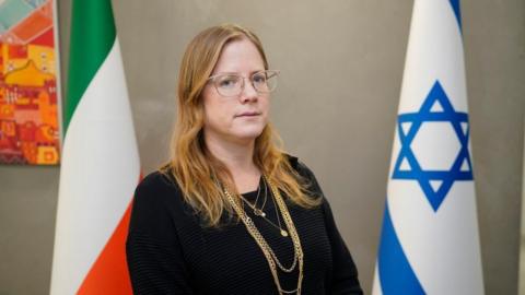 Erlich is standing in between the blue and white Israeli flag and the green white and orange, Irish tricolour flag. She has long blond hair and is wearing thin framed glasses and a black top. She is also wearing a gold necklace.