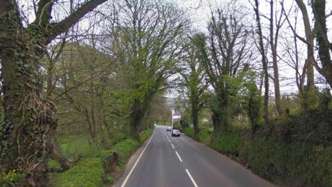 A country road with hedgerows and trees of either side of it 