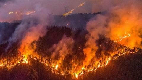 Chongqing wildfires