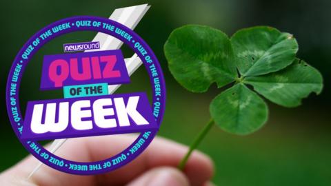 clover and quiz logo.