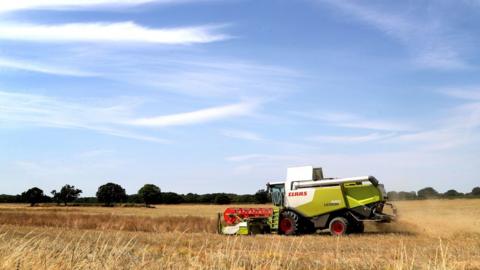 Farm in Ashford Kent in July