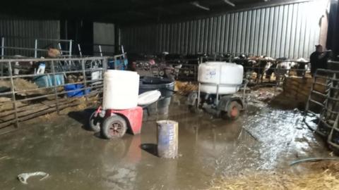 A barn with water flooded on the floor, metal gating around pens with hay, some farm equipment with tyres in the water and cows in a pen in front of a corrugated metal divider. 