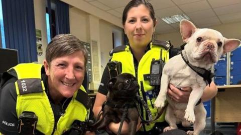 Two women police officers in uniform and in a police station with black pug Ocean and French bulldog Gus. Ocean and Gus both have collars and leads on.