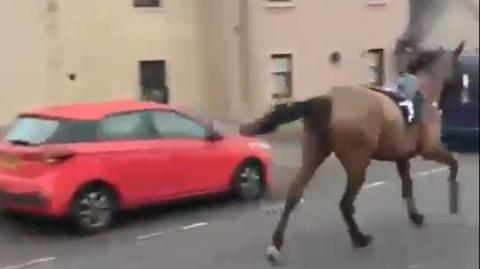 Rufio the horse running past a red car on Prestonpans High Street. He is brown and has a black race banner with a white number seven over his back.