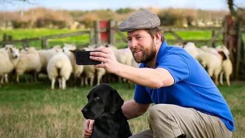 A bearded man with a flat cap looks at his phone, while holding a black dog, with sheep in the background.