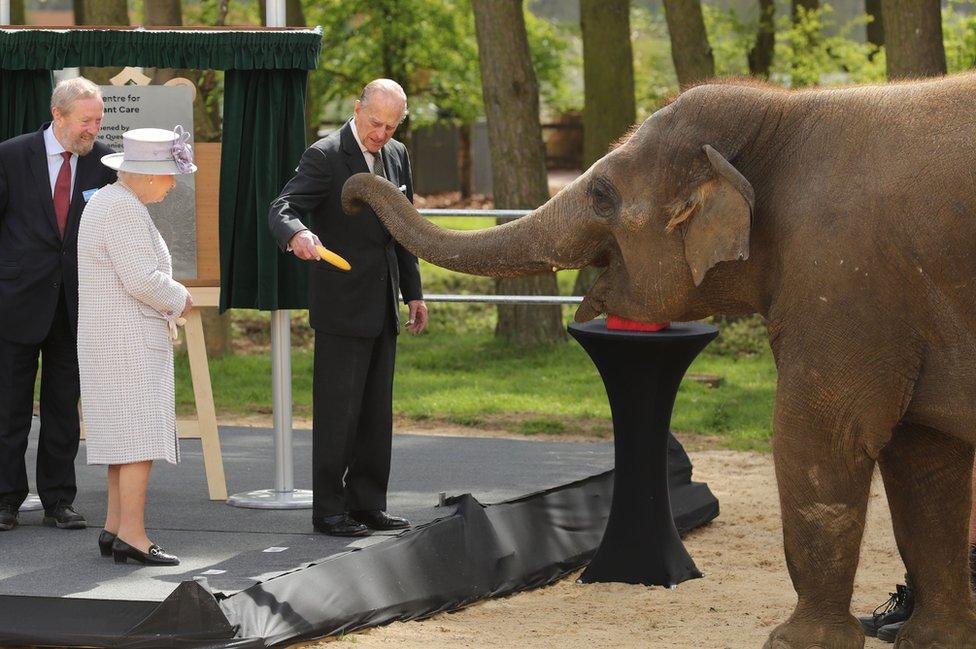 Queen Elizabeth II and the Duke of Edinburgh with an elephant at ZSL Whipsnade Zoo, where they officially opened the zoo's new Centre for Elephant Care as part of a visit to Bedfordshire