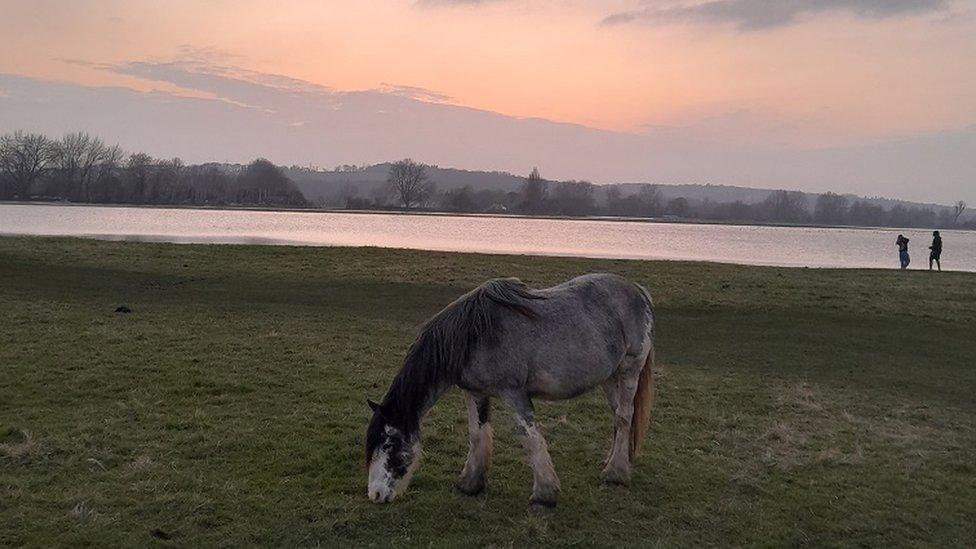 SUNDAY - Port Meadow