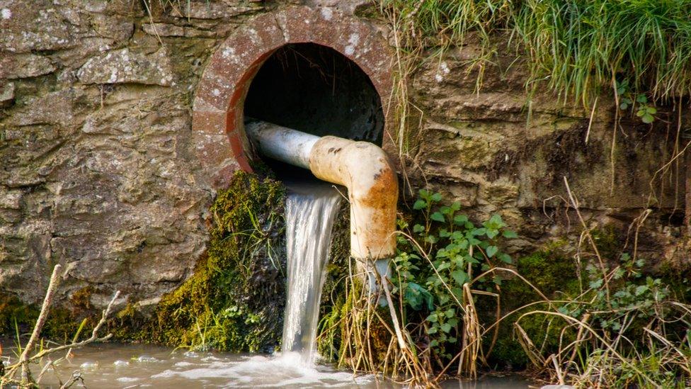 Water flowing from a drain into a river