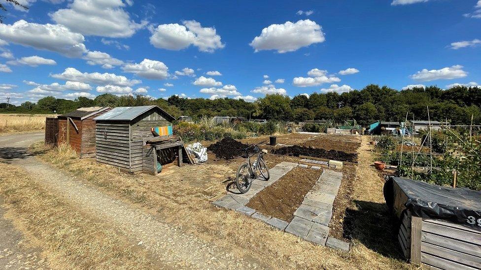 Wildmoor Allotments in Abingdon