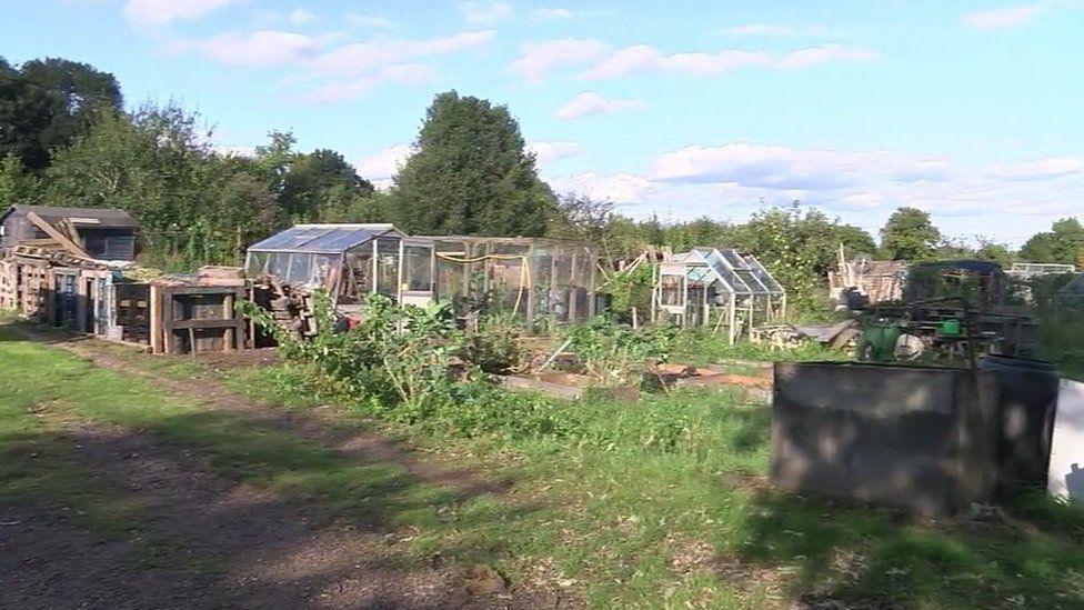 Glass greenhouse and makeshift sheds with green plats seen growing