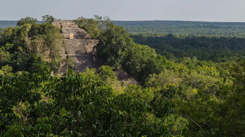 A photograph of the Calakmul Mayan temple pyramid ruins in Campeche, Mexico