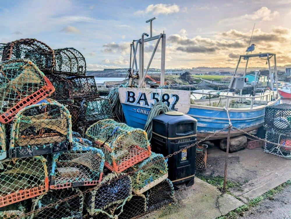 A blue and white fishing boat and multi-coloured lobster cages by the pier in St Andrews.