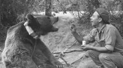 Soldado do Exército polonês de boina jogando comida na boca de Wojtek, um urso pardo sírio de coleira