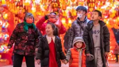 People look at illuminated lanterns during a lantern show