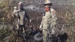 Bombeiros em área tomada pelo fogo junto com sucuri carbonizada