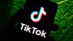 Chinese-owned TikTok video app has around one billion users worldwide