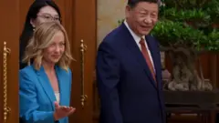 梅洛尼与习近平