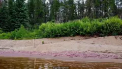 A tonalidade e a quantidade de areia colorida variam de acordo com as correntezas e as estações do ano