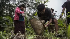 Indígenas manipulando a terra para plantação