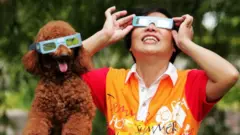 Perro y dueño con lentes de eclipse solar.