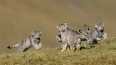 When mother says run by Shanyuan Li, China