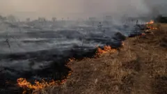 Queimada no Cerrado brasileiro