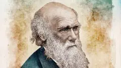 Darwin