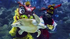 吉隆坡一家水族館推出「水下舞獅」賀新春表演