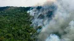 Fumaça de queimada na Amazônia