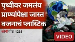 प्लास्टिकच्या प्रदूषणाचं निराकरण कसं करता येईल?