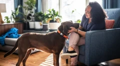 Mulher acariciando cachorro em sala