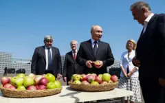 Putin se acerca a un cesto de manzanas en una visita a una empresa agrícola