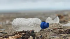 Plastic bottle on the beach