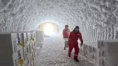 Cientistas em um túnel coberto de gelo transportando caixas com amostras de gelo antigo, armazenadas para preservação em um ambiente congelado.