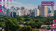 Imagem mostra cidade de São Paulo com área verde entre prédios