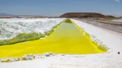 Piscina amarelada em área plana e desértica 