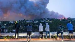 Unas personas viendo los incendios de Los Ángeles desde una carretera.