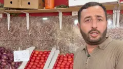 Bazar Azərbaycan pomidorun qiyməti pomidor bahadır 