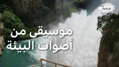 موسيقى من أصوات البيئة