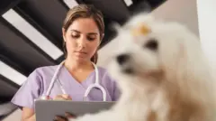 Médica veterinária com estetoscópio em volta do pescoço