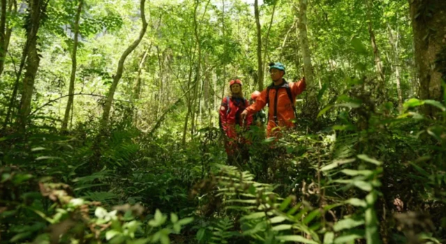 Duas pessoas em meio à vegetação, usando roupas vermelhas com equipamentos de proteção, inclusive um capacete