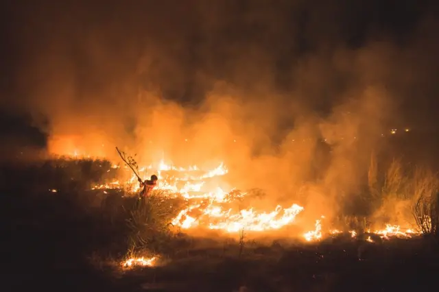 A boy tries to stop an approaching forest fire in Yamuna Ghat, New Delhi, India